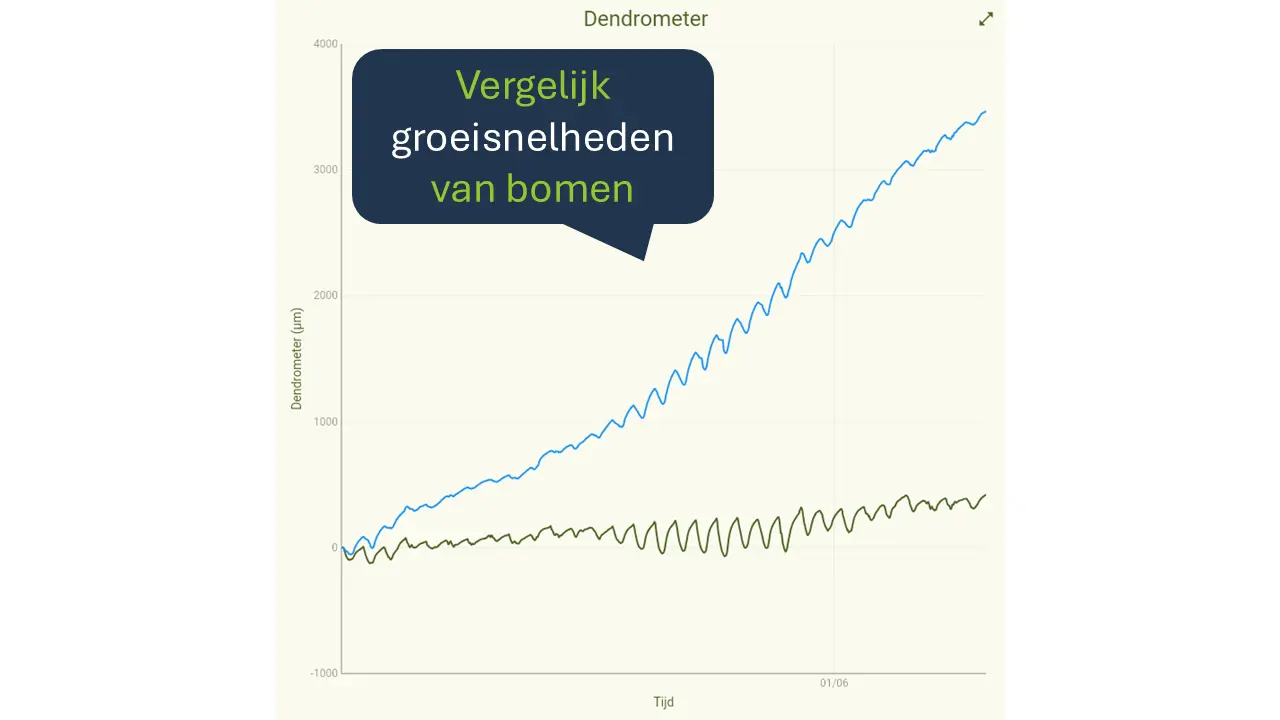 PlantData Live dashboard use-case: vergelijk groeisnelheden van bomen